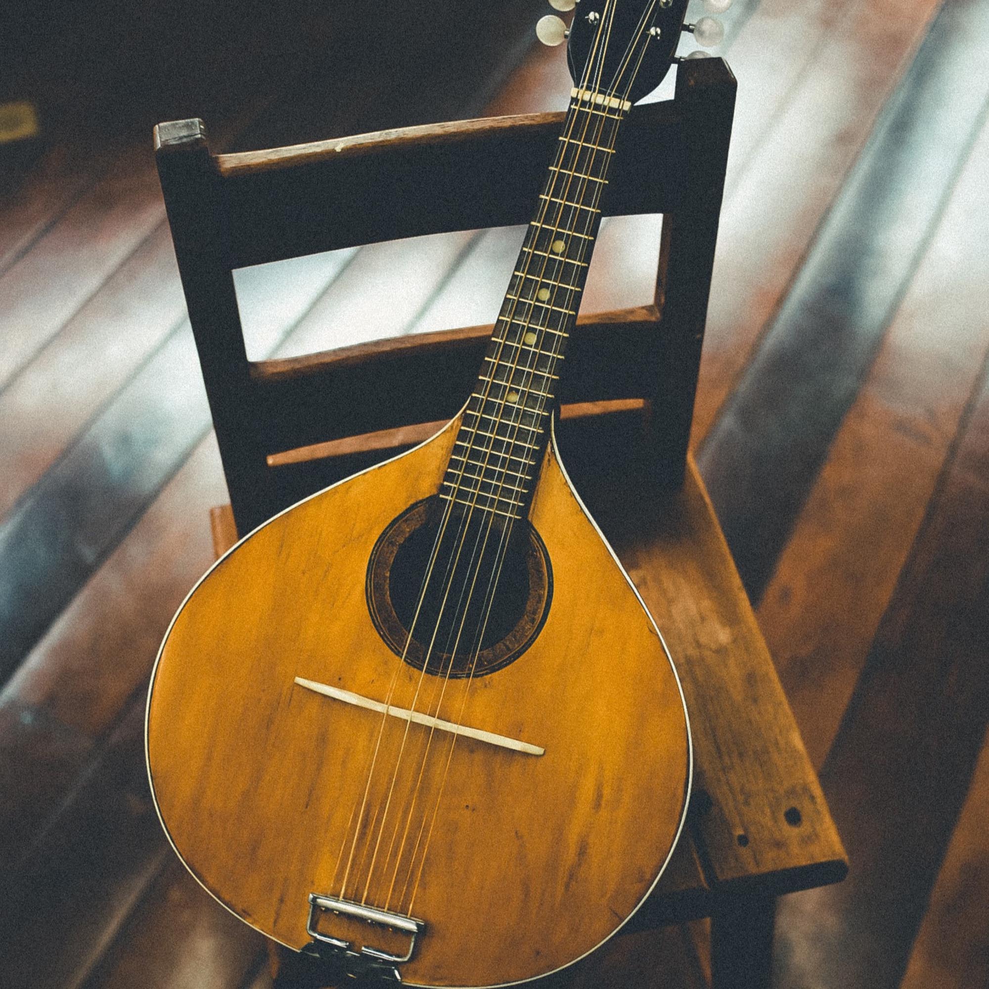 mandolrin